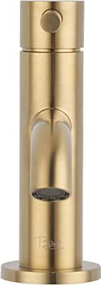 Ben Lavion fonteinkraan met greep geborsteld messing pvd