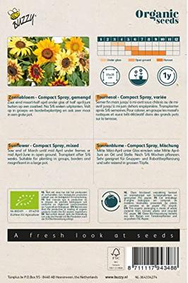 Biologische Helianthus, Zonnebloem Compact Spray