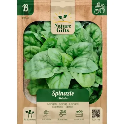 Spinazie matador per 35m Spinazie matador per 35m