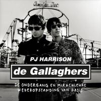 De Gallaghers - thumbnail