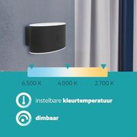 Eglo Design wandlampValgiano oplaadbaar ovaal - 75875 - thumbnail