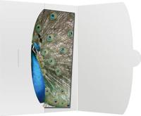 Daiber 09021 09021 Fotohoezen Wit - thumbnail