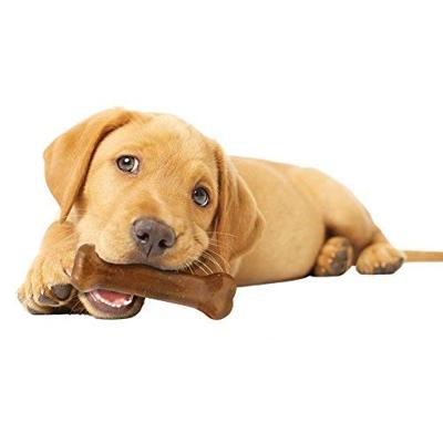 Nylabone puppy chew puppy starter kit chicken - thumbnail