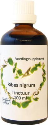 Ribes nigrum