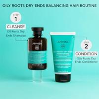 Apivita Hair Care Shampoo Oily Roots & Dry Ends Shampoo 250ml - thumbnail