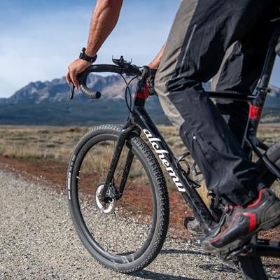 Maxxis rambler dual exo tr tanwall 28" folding tyre