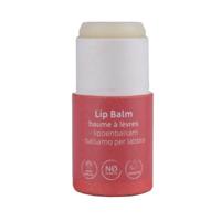 Beauty Made Easy Papertube lipbalm berry 5.5 Gram - thumbnail
