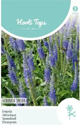 Zaden Veronica Ereprijs blauw Hortitops - Hortitops