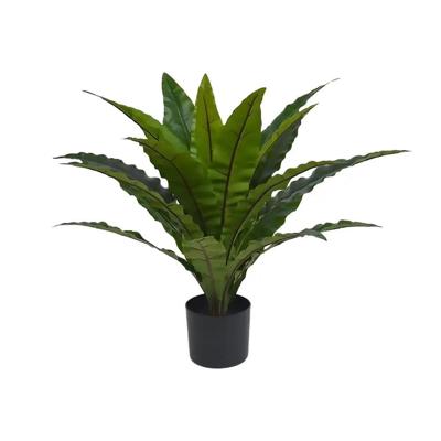 Nestvaren in pot 70 cm kunstplant Buitengewoon de Boet - Buitengewoon de boet Nestvaren in pot 70 cm kunstplant Buitengewoon de Boet - Buitengewoon de boet