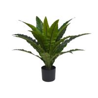 Nestvaren in pot 70 cm kunstplant Buitengewoon de Boet - Buitengewoon de boet - thumbnail