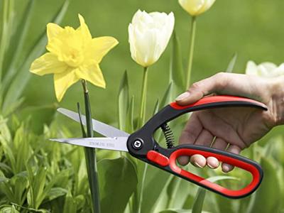 Meister Buxusboomschaar - WU9719400