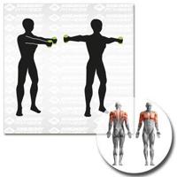 Schildkröt Fitness Dumbbells 0,5 kg - thumbnail