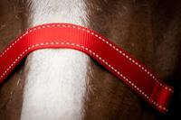 Excellent Horse Premium Halster XS Mini Foal Rood - thumbnail