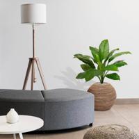 Spathiphyllum King kunstplant 80cm - groen - thumbnail