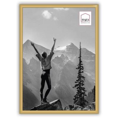 Haes Deco Kunststof Fotolijst EF11G Easy Frame Goud A4 21x29,7 cm