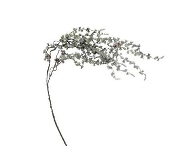 Kunst podocarpus tak groen/wit, 120 cm Buitengewoon de Boet - Buitengewoon de boet Kunst podocarpus tak groen/wit, 120 cm Buitengewoon de Boet - Buitengewoon de boet