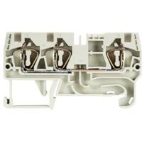 Wieland Electric 56.704.5055.0 Doorgangsserieklem Grijs 1 stuk(s) - thumbnail