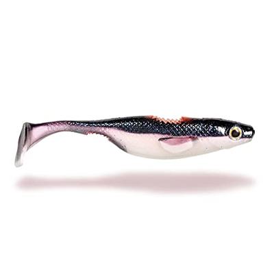 Quantum BisswundeR 16cm 2St. Plötzi