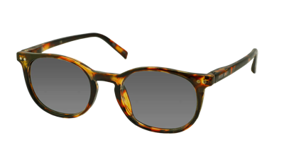 Zonneleesbril Vista Bonita Gafa-Hub Havanna-+3.50 Zonneleesbril Vista Bonita Gafa-Hub Havanna-+3.50