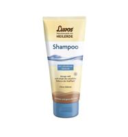 Luvos Shampoo - thumbnail