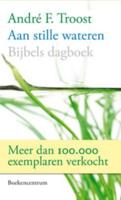 Aan stille wateren (Paperback) - thumbnail