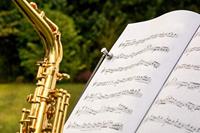 Connex Magneet Neodym Greep D15Mm 2St 4Kg - DY7100023 - thumbnail