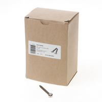 Dulimex RAIS 5050B Anti-inbraakschroef 5.0 x 50mm RVS 0112.420.5050 - thumbnail