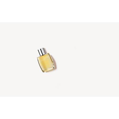Burberry For Men Eau de Toilette Burberry For Men Eau de Toilette