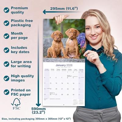 Vizsla Kalender 2026 Vizsla Kalender 2026