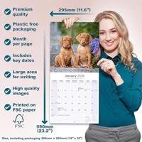 Vizsla Kalender 2026 - thumbnail