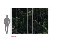 Komar Flair Fotobehang Orch-Idee - FLX7-019 - thumbnail