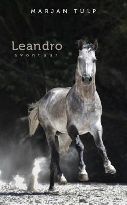 Leandro - Marjan Tulp - ebook