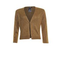Vest glans - thumbnail