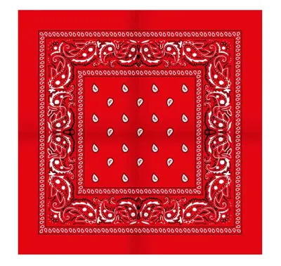 Boerenzakdoek Rain drop 54x54 - Rode zakdoek