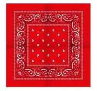 Boerenzakdoek Rain drop 54x54 - Rode zakdoek - thumbnail