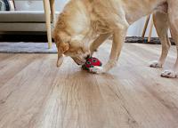 Producten/rugby toyfastic te vullen roodturkoois 12 x 7 5 cm - thumbnail