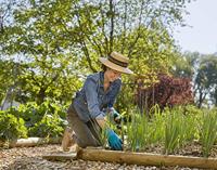 GARDENA 11513-20 Tuinhandschoen Maat (handschoen): 10 1 paar - thumbnail