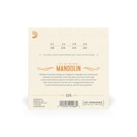 D&apos;Addario EJ74 snarenset voor mandoline - thumbnail