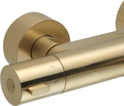 Ben Lavion Reno douche thermostaatkraan t.b.v. Ben Lavion regendoucheset geborsteld messing pvd-coating