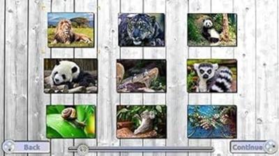 Jigsaw Fun 3-in-1 Collection Jigsaw Fun 3-in-1 Collection