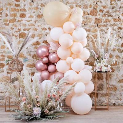 Ballonnen Backdrop Set Rozegoud/Wit/Roze (70st)