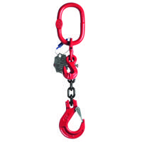 Delta 1-Sprong met klephaak, met inkorthaak | Grade 80 | 1,120 ton | 6 mm | 3 m - YE.8.1SKI.06.030 YE.8.1SKI.06.030 - thumbnail