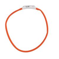 Nightwalk Safety Collar - thumbnail