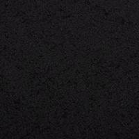 VidaXL Deurmat 40x60 cm zwart - thumbnail