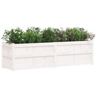 Plantenbak 180x50x50 cm massief grenenhout wit - thumbnail