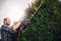 Einhell GE-EH 7067 Heggenschaar Elektrisch Met beschermbeugel 700 W 710 mm - thumbnail