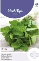 Zaden Citroenmelisse Hortitops - Hortitops - thumbnail