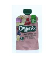 Organix Knijpfruit havermout appel banaan framb 12+M bio 100 Gram - thumbnail