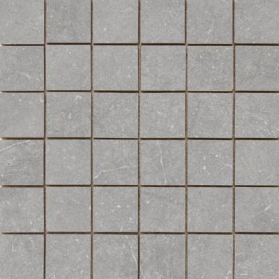 Munich Pearl mozaiek 5x5 op net