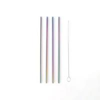POINT-VIRGULE - Bar & Cocktail - Rietjes Set/4 RVS Regenboog - thumbnail